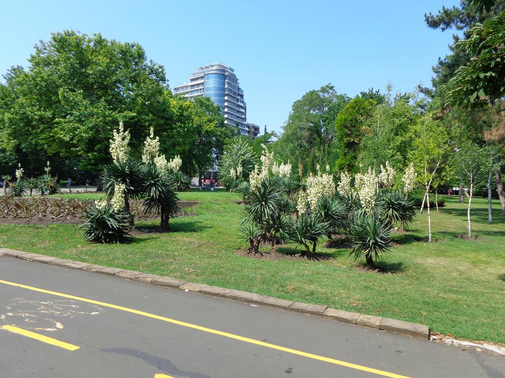 Zoya Apartment Burgas ภายนอก รูปภาพ